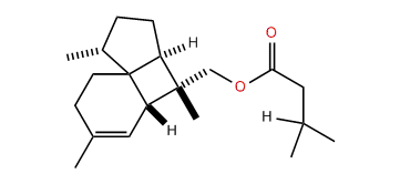 Italicen-12-yl isovalerate